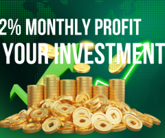 🌟 Exclusive Investment Opportunity — Earn 2% Monthly Profit!